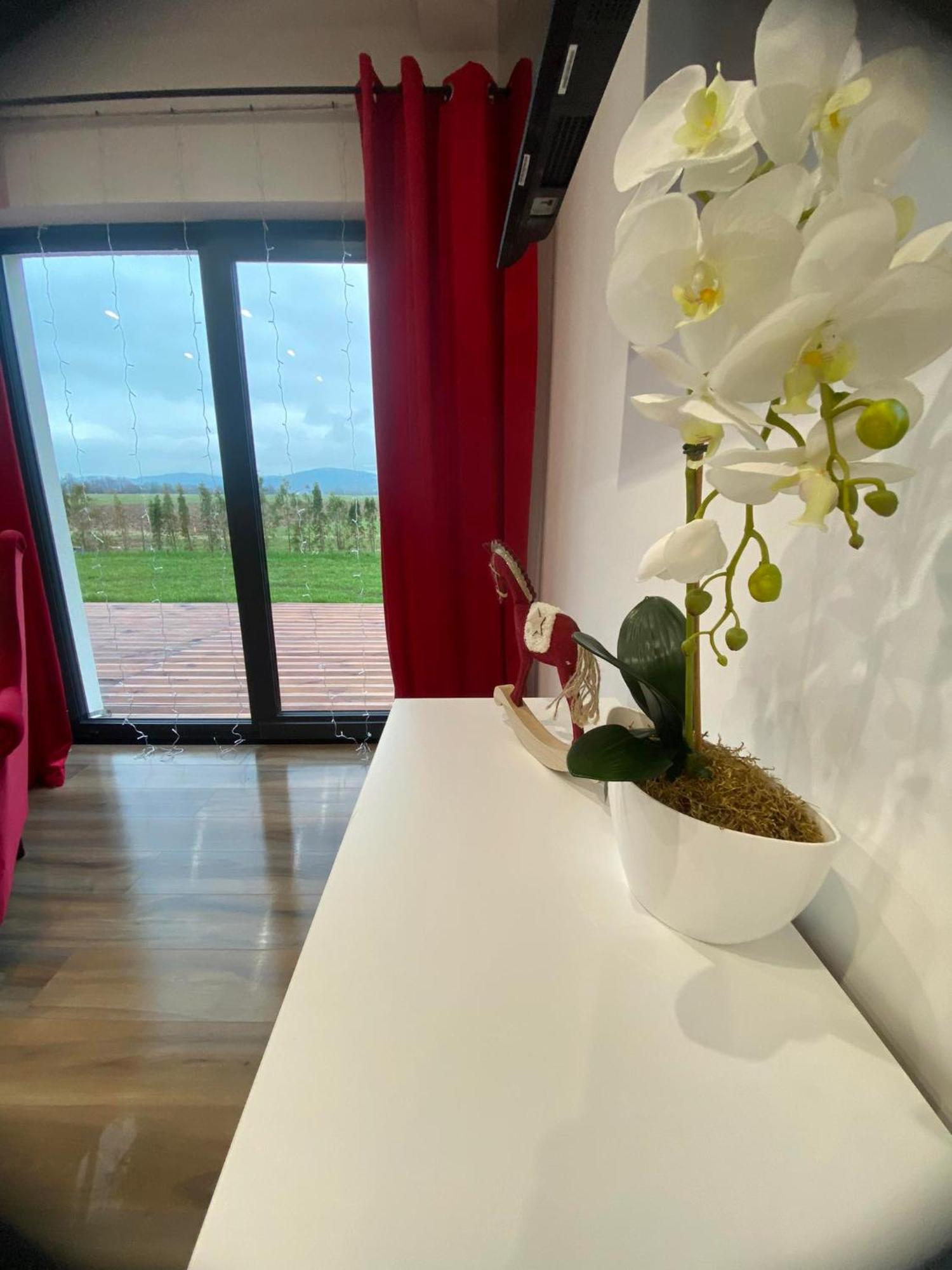 Apartment Beskidzkie Stodoly *